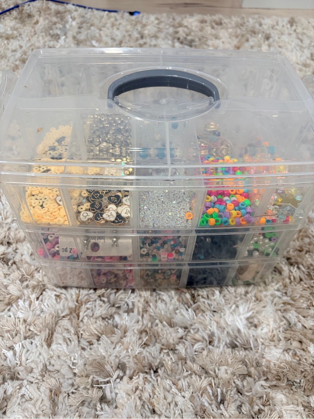 Clear Plastic Multi-Compartment Storage Box - Clear